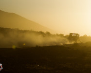 Mint 400 2014