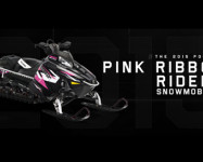 PINK RIBBON RIDERS