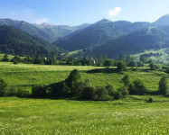 Табацкури, Грузия