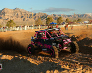 Mint 400 2016