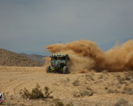 Mint 400 2016