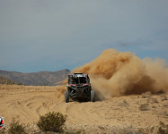 Mint 400 2016