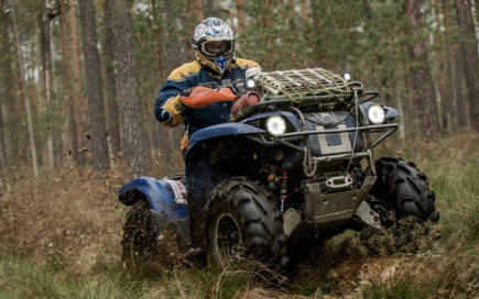 Ladoga Forest в память об Александре Шапочкине