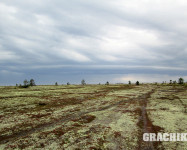 GRACHIKOFF CLUB НА КОЛЬСКОМ ПОЛУОСТРОВЕ