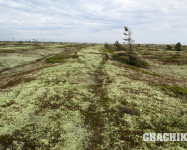 GRACHIKOFF CLUB НА КОЛЬСКОМ ПОЛУОСТРОВЕ