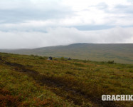 Пейзажи Северного или Приполярного Урала 2015