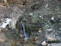 gremyachiy-0052.jpg