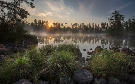 LADOGA FOREST